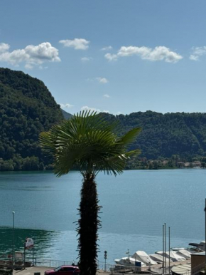 Neue Gartenwohnung mit Sicht auf den Luganersee